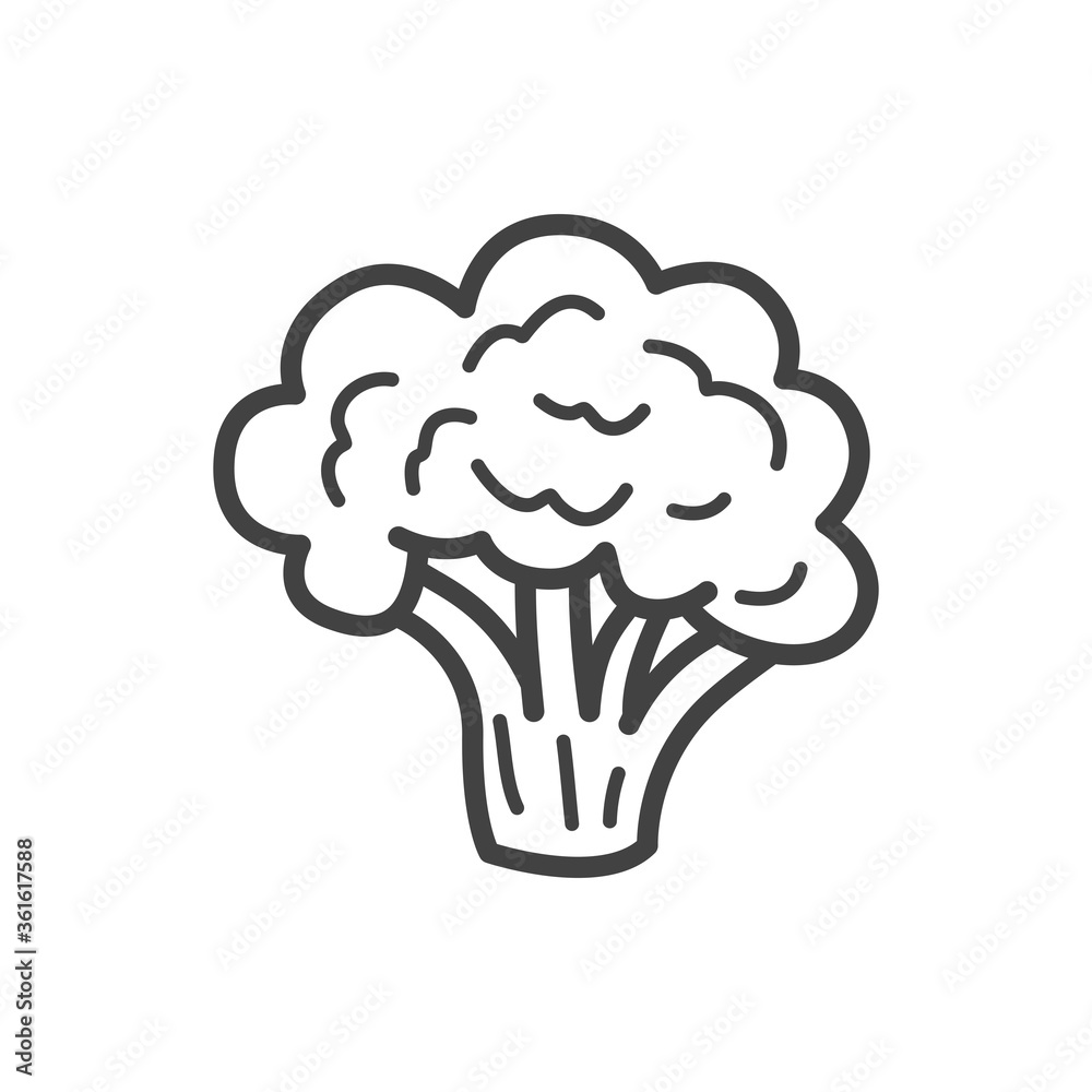 Broccoli line icon. Vector Illustration. Broccoli line icon. Vector Illustration.