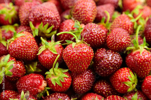 Heap of red ripe strawberries, fresh summer berries