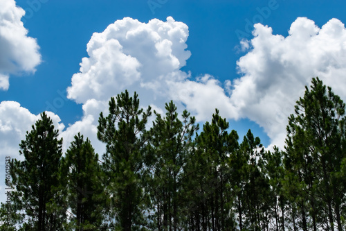 Clouds in blue sky background with copy space
