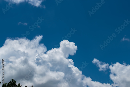 Clouds in blue sky background with copy space