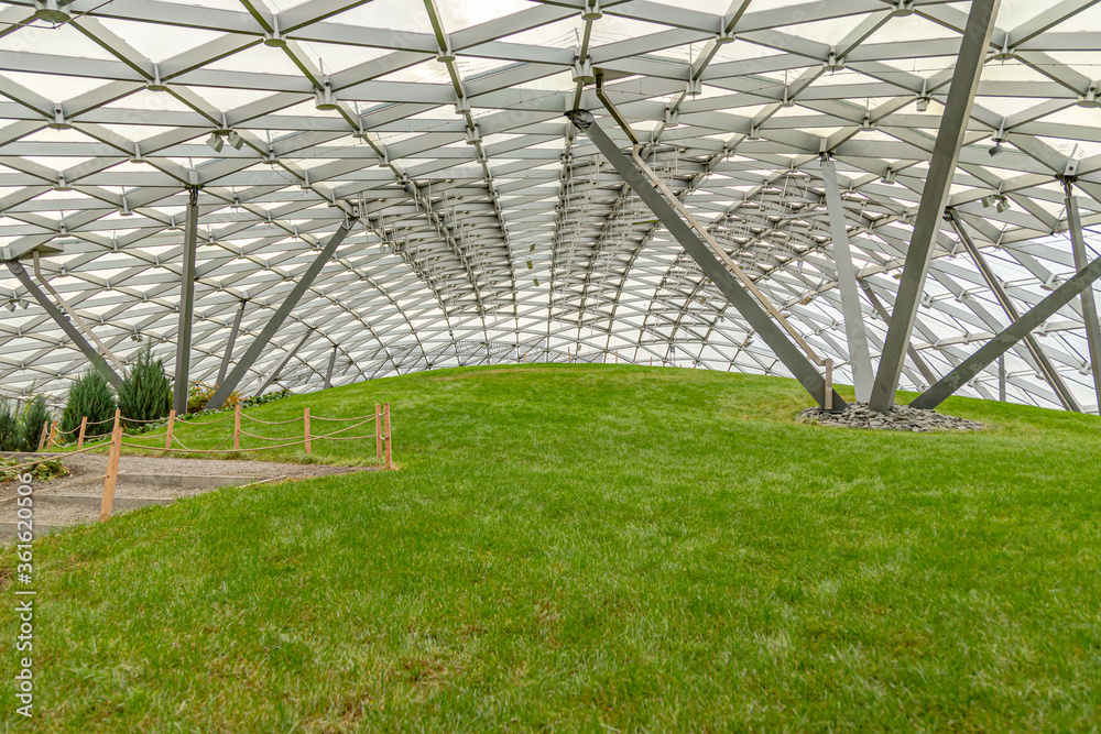 Fototapeta premium greenhouse in the spring