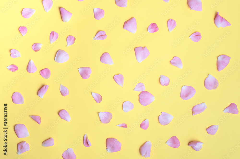 Pink flowers petals. Rose petals on a light background