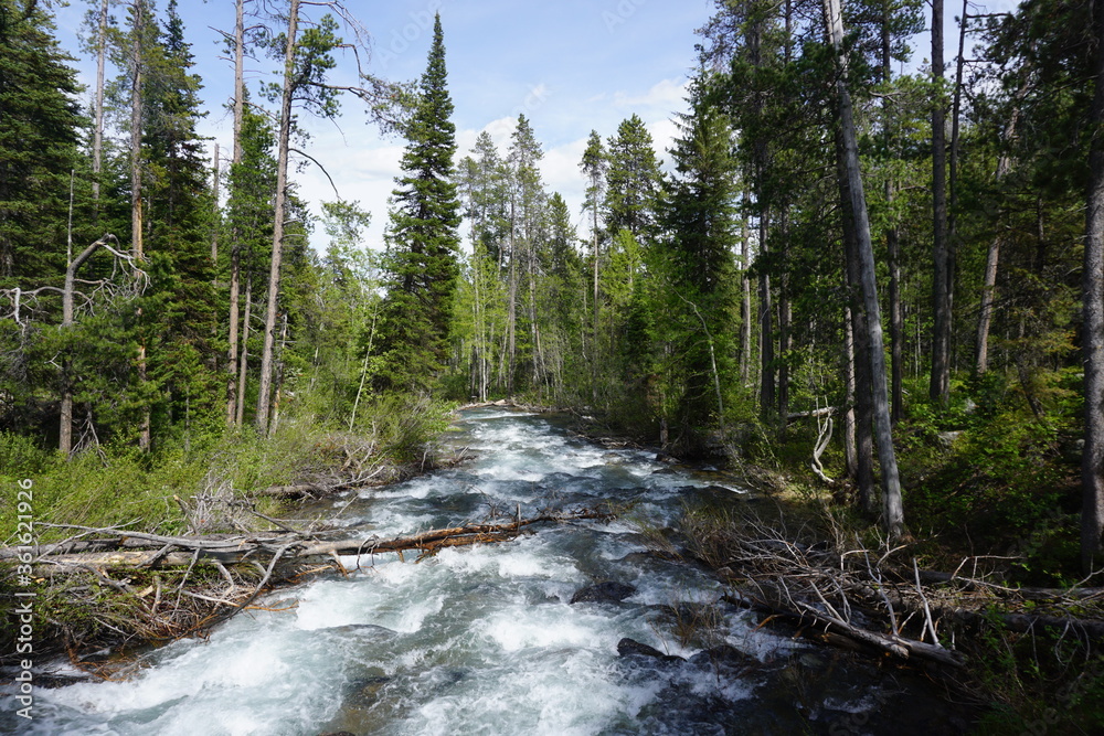 Fast-flowing Lake Creek in the Laurance S. Rockefeller Preserve in Grand Teton National Park - Wyoming, USA Fast-flowing Lake Creek in the Laurance S. Rockefeller Preserve in Grand Teton National Park - Wyoming, USA