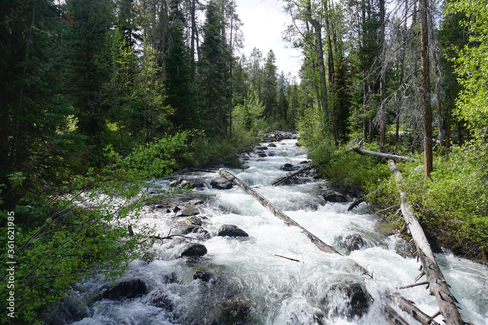 Fast-flowing Lake Creek in the Laurance S. Rockefeller Preserve in Grand Teton National Park - Wyoming, USA Fast-flowing Lake Creek in the Laurance S. Rockefeller Preserve in Grand Teton National Park - Wyoming, USA