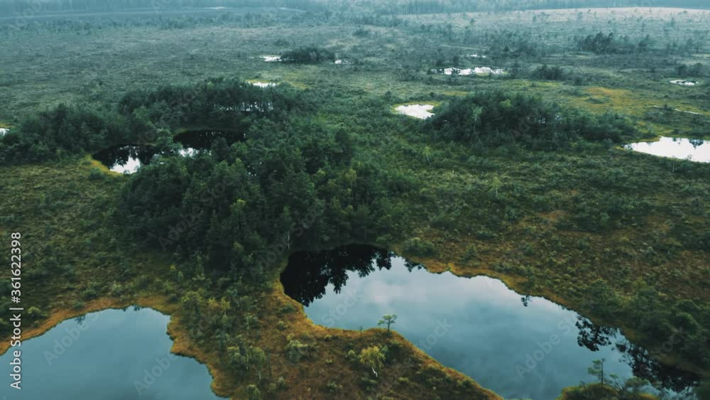 Raised bog of Aukštumala in Lithuania, aerial view. Wetlands with lakes, national park Raised bog of Aukštumala in Lithuania, aerial view. Wetlands with lakes, national park