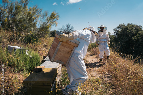 Beekeeper holding a bees hive on his back to harvest honey. Beekeeping