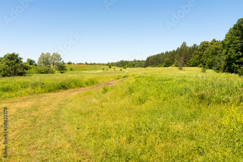 dirt road to the Ichalkovsky forest