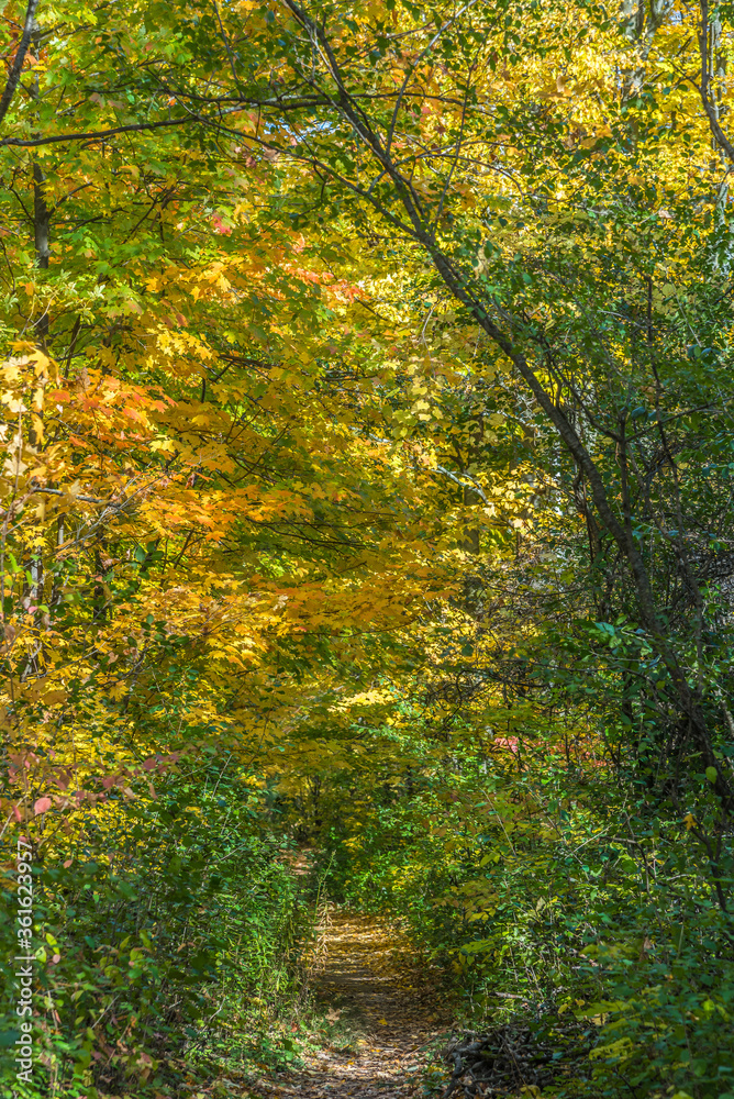 Fall time in park Fall time in park