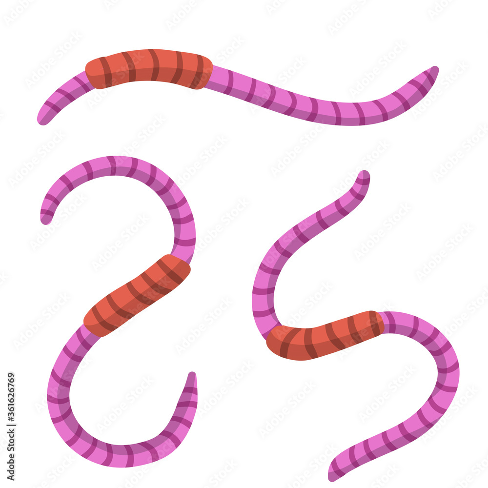 Naklejka premium Set of earthworms. Cartoon flat illustration. Crawling insects. Pink worm. Small, slimy, long animal. Isolated Fishing bait