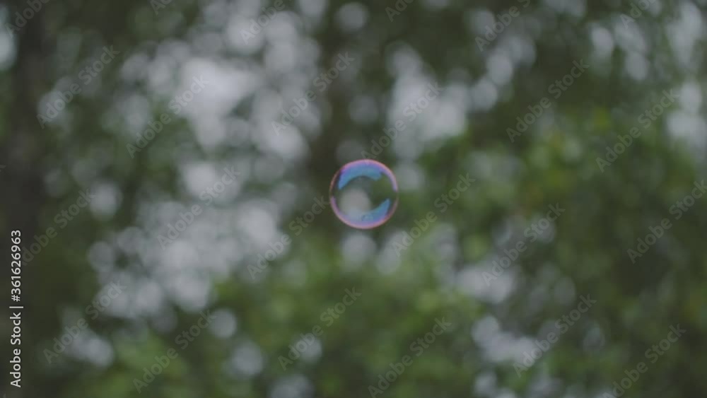 Bright festive background with flying shiny soap bubble on the green meadow Bright festive background with flying shiny soap bubble on the green meadow