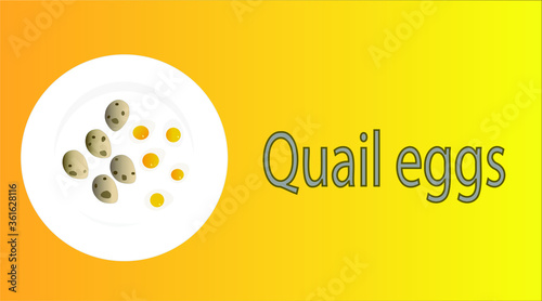 Vector of set of quail eggs, unpeeled and peeled, cooked on a white plate on yellow and orange background. Healthy diet food, protein