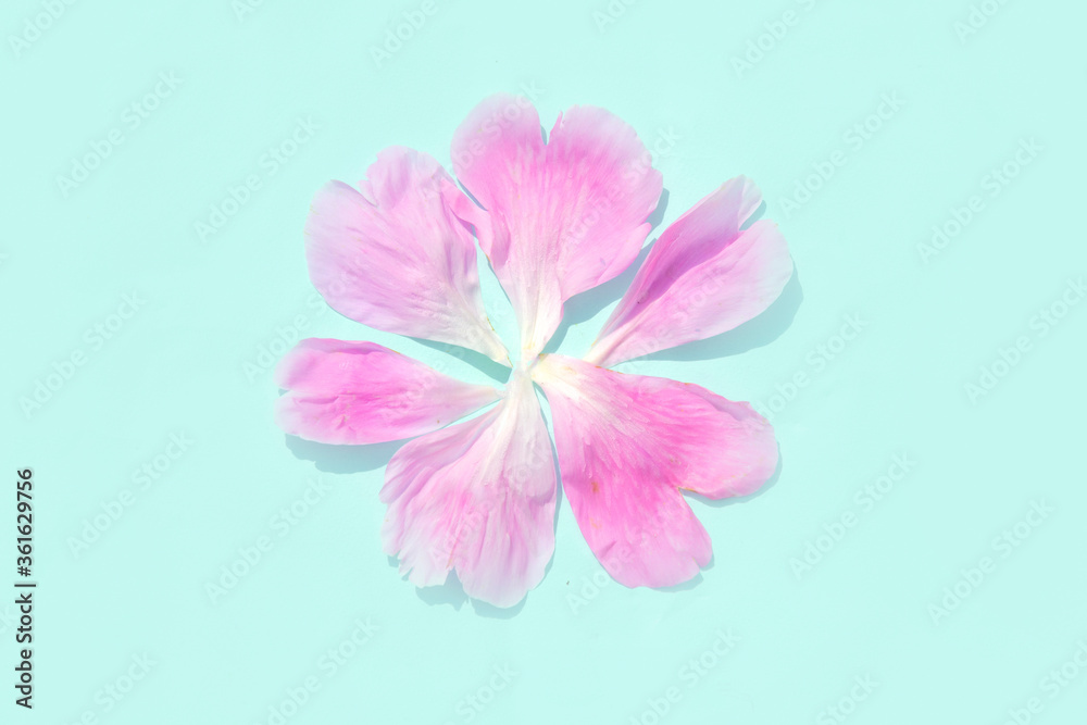 Background Of Their Petals Of Pink Peonies. Idea for a greeting card. Background Of Their Petals Of Pink Peonies. Idea for a greeting card.