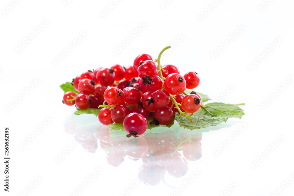 ripe summer berry red currant isolated on white ripe summer berry red currant isolated on white
