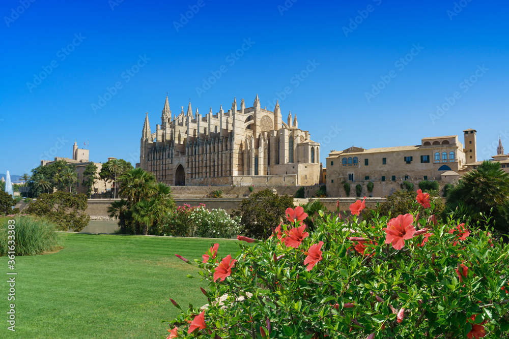Fototapeta premium Garden and The Cathedral of Santa Maria of Palma, also La Seu is a Gothic Roman Catholic cathedral located in Palma, Mallorca, Spain.