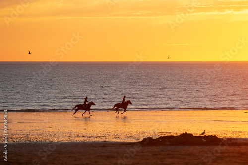 Riding horses at the beach during sunset