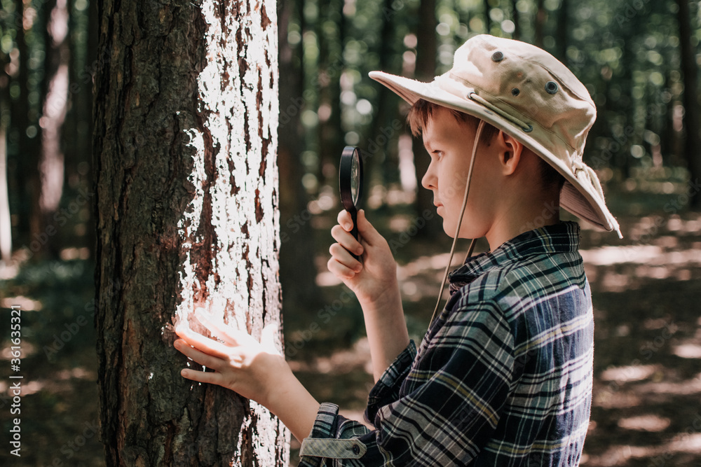 Boy biologist or entomologist studies nature. Scout in the forest. A teenager studies insects. Biology. Geology. Expedition in the forest. - obrazy, fototapety, plakaty 