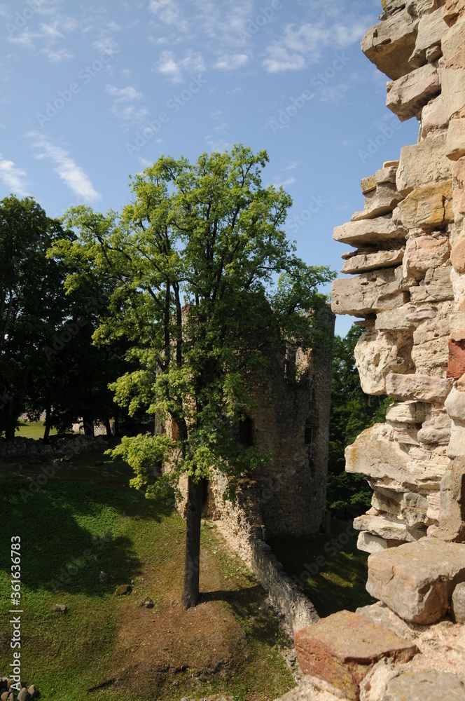 Obraz premium Ruin in nature