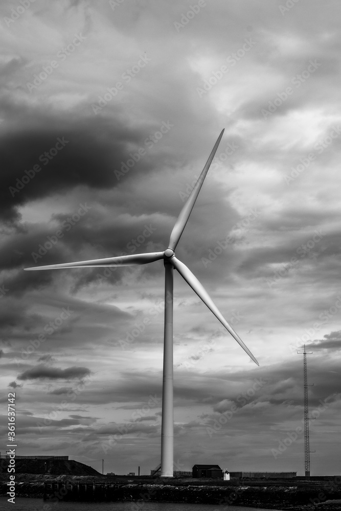 wind turbines farm