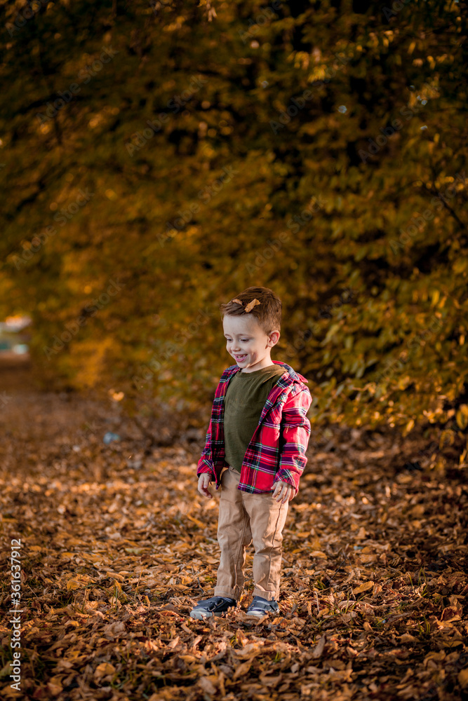 Little boy walks in nature in autumn, a preschooler in the autumn Park in yellow leaves Little boy walks in nature in autumn, a preschooler in the autumn Park in yellow leaves