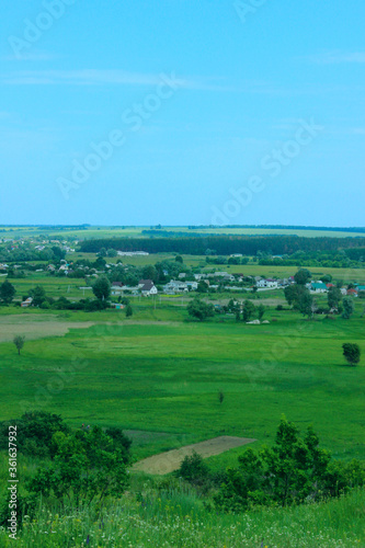Blurry image of green field and blue sky background, vertical view. Landscape, nature, farmland concept. Nature Background.