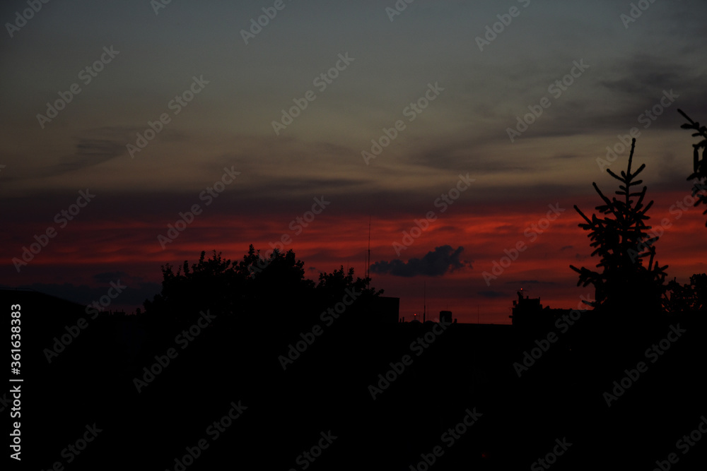  colorful sunset with red sky and trees and clouds