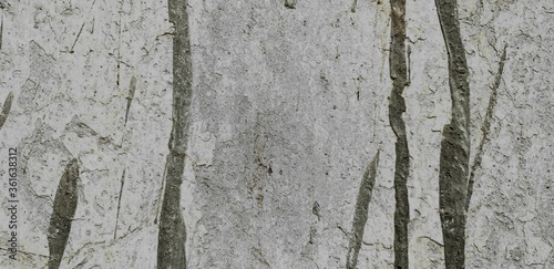 abstract grunge texture white wall texture grunge abstract paint