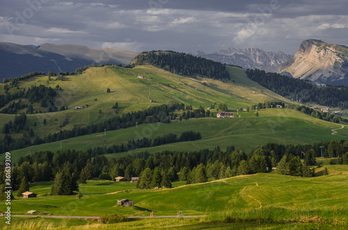 Fototapeta Naklejka Na Ścianę i Meble -  Alpe di Siusi/Seiser Alm, largest high altitude alpine meadow plateau in Europe and the Dolomites mountain ranges around, major tourist attraction, known for hiking & skiing, South Tirol, Italy.