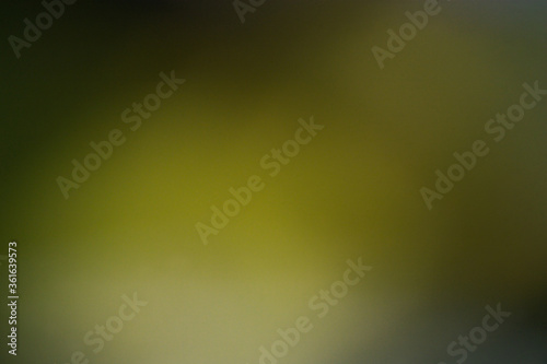 Image of a iridescent green background