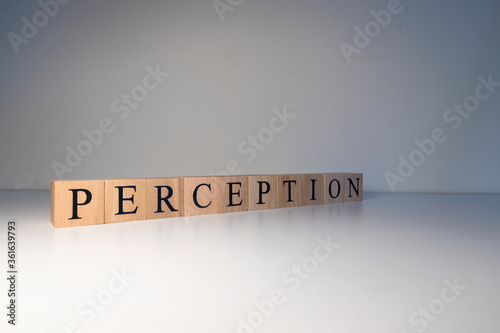 Perception text from wooden cubes. Photo was taken in a white background.