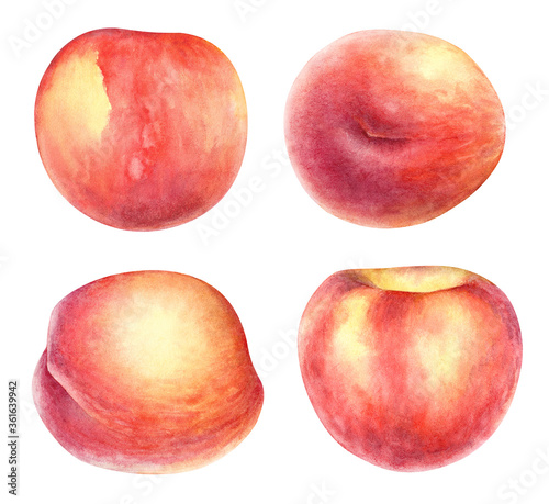 Collection of watercolor peach fruits