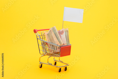 In the grocery cart lies a bundle of five thousandth bills and a white flag is set