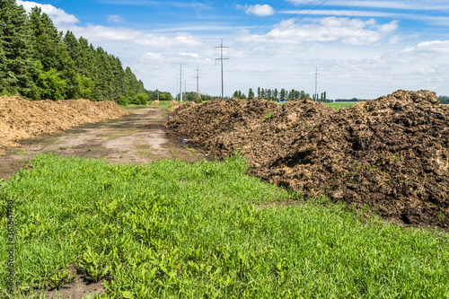 Farm composting in windrows photo
