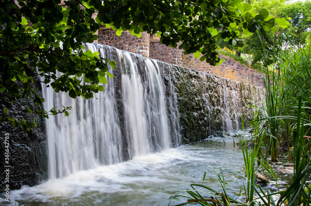 Fototapeta premium stone dam waterfall and green leaves