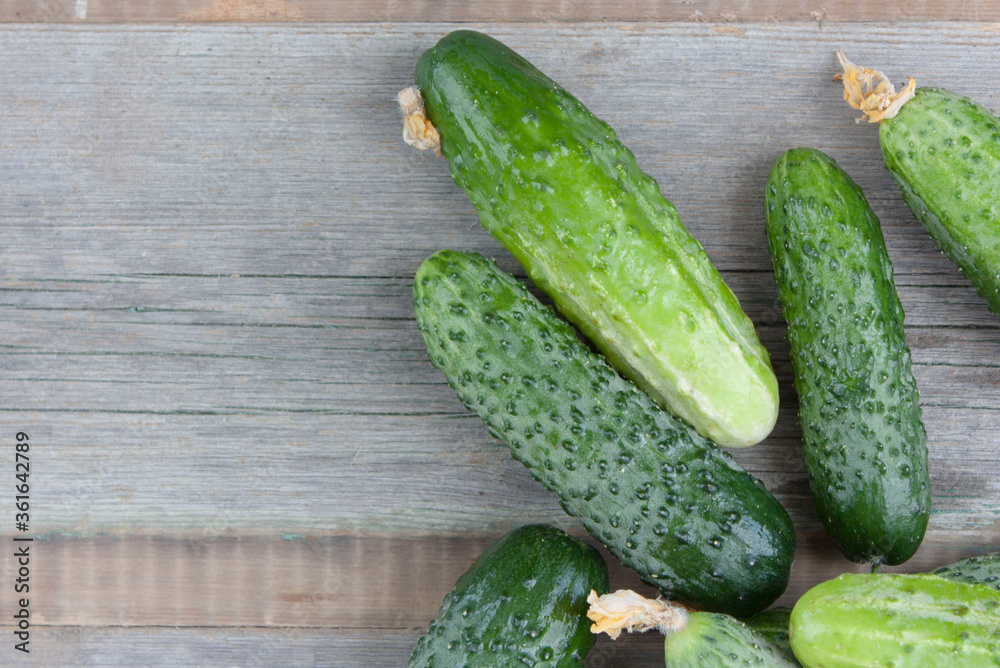cucumber harvest on a wooden background cucumber harvest on a wooden background
