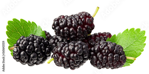Mulberry berry with leaf isolated on white background. flat lay.