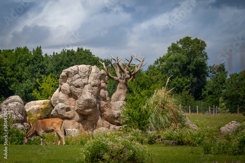 Photography nature landscape rock lion head in the safari park with animals nearby