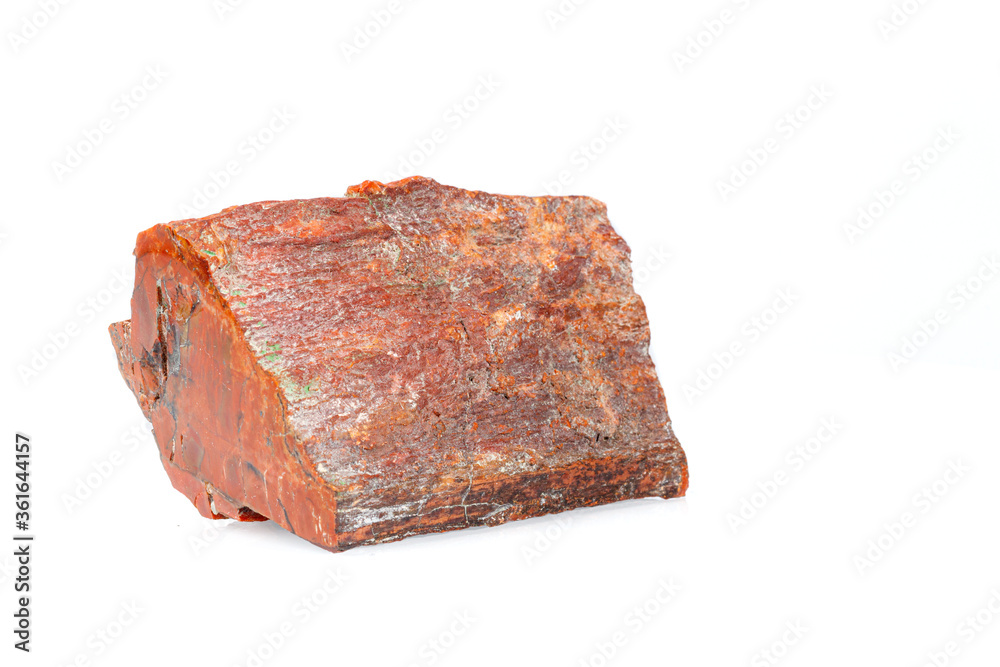 macro stone mineral petrified wood on a white background macro stone mineral petrified wood on a white background