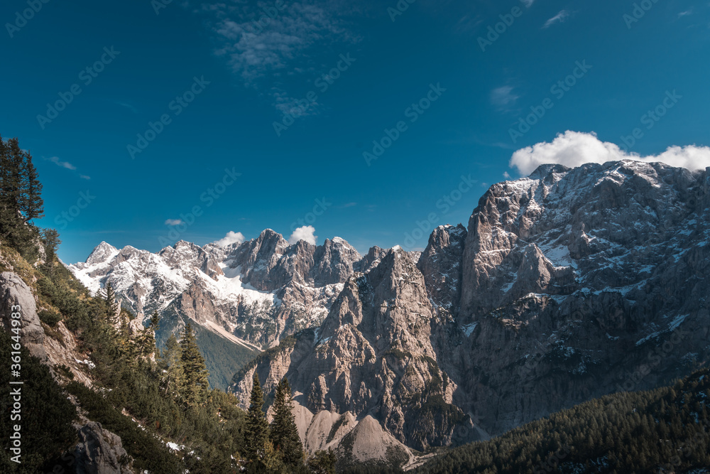 A distance view on massive, sharp rocky mountain range of Julian Alps in Slovenia. The mountains are partially covered with snow. Spruce trees in foreground