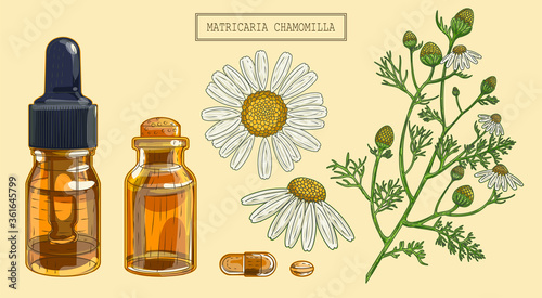 Medical cannabis marijuana branch and vials, hand drawn illustration in a retro style