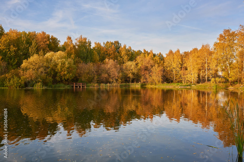 Autumn trees with reflection in the pond Selective focus