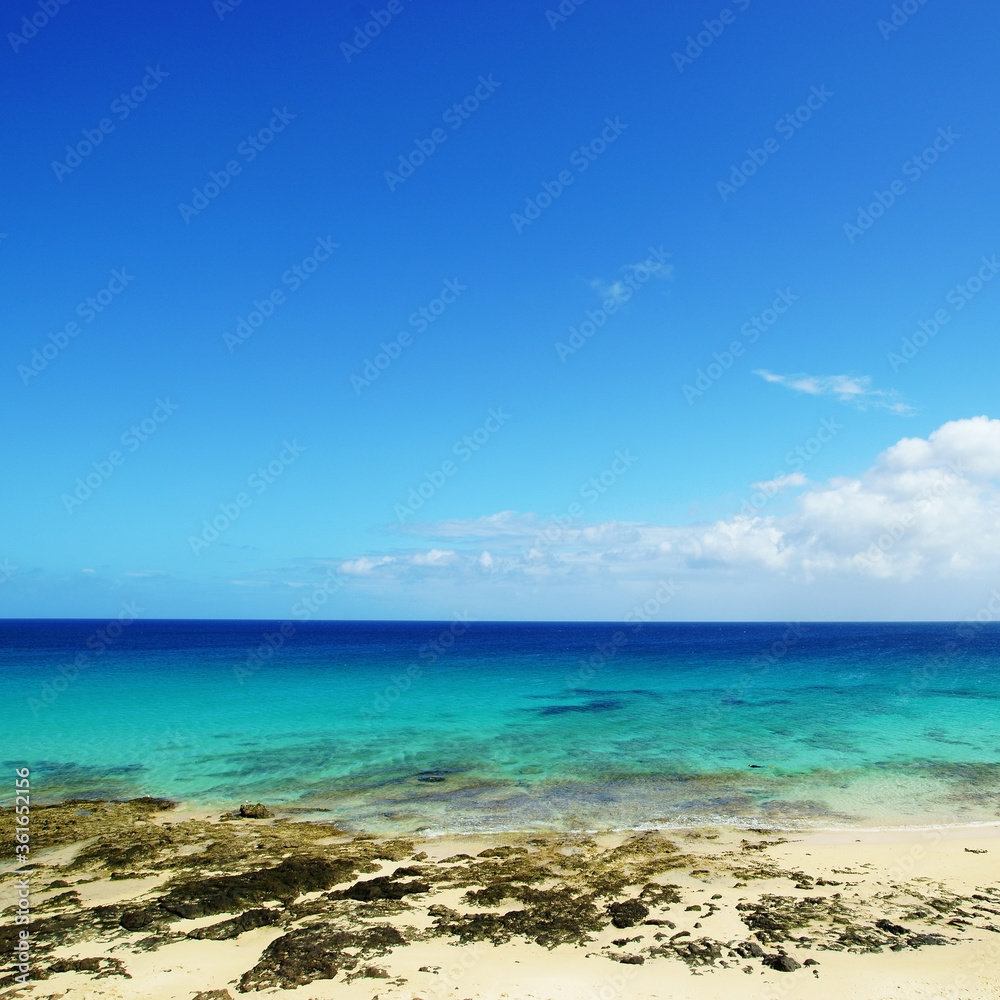 Tropical beach, azure ocean water and blue sky. Paradise landscape.