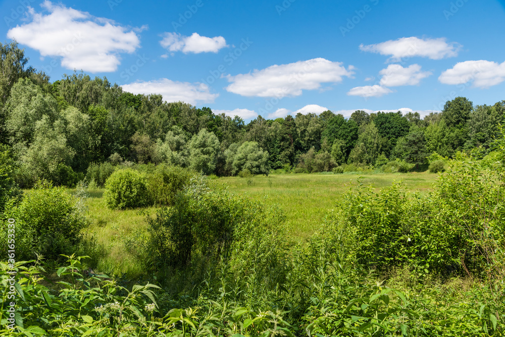 Summer landscape - Big meadow surrounded by forest on a bright sunny day, sky with small white clouds Summer landscape - Big meadow surrounded by forest on a bright sunny day, sky with small white clouds