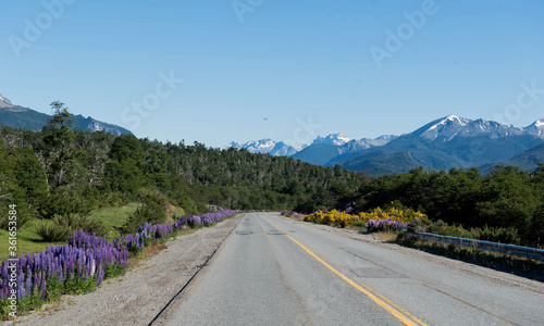 Ruta 40 camino asfaltado llegando a San Carlos de Bariloche. Provincia de Rio Negro, Patagonia Aargentina photo