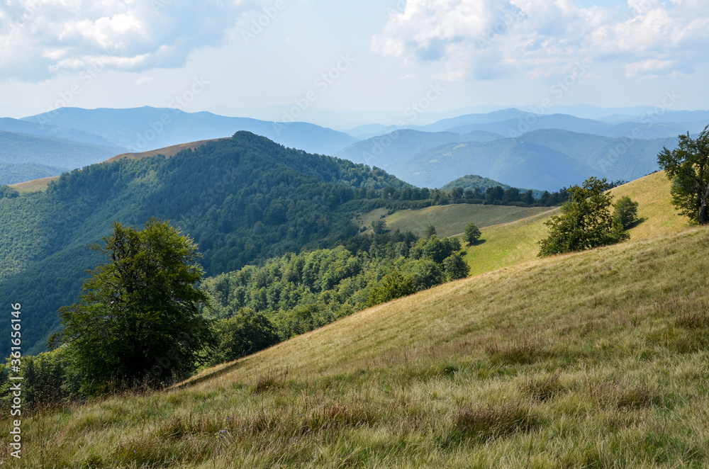 Fototapeta premium Carpathian mountains summer landscape with green sunny hills and valley under blue sky with clouds 