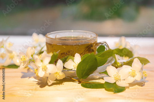jasmine tea in soft warm evening light with fresh jasmine leaves and flowers