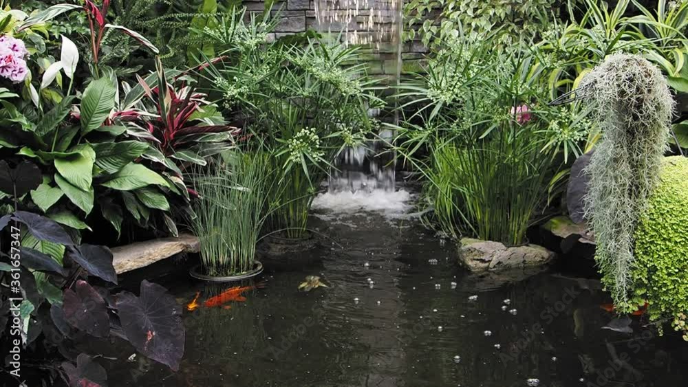 Decorative waterfall in the garden with tropical plants and pond Decorative waterfall in the garden with tropical plants and pond