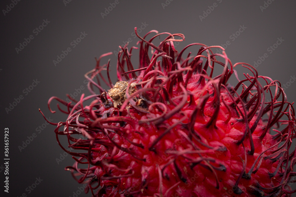 Closeup colourful red Rambutan fruit berry on top of others of the exotic edible specimen. Studio low key food still life. Closeup colourful red Rambutan fruit berry on top of others of the exotic edible specimen. Studio low key food still life.