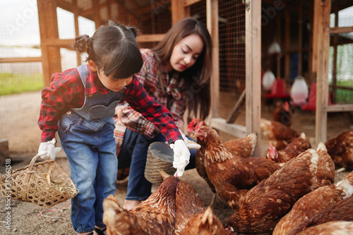 Family enjoy feeding the chicken on the farm. mother and daughter spend time together at chicken organic farm.