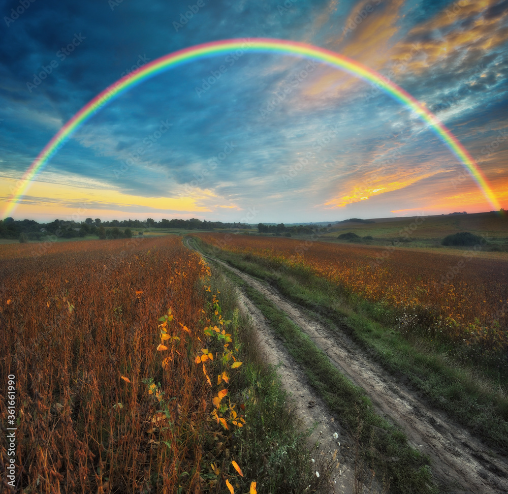 Naklejka premium Rainbow over a picturesque hilly field