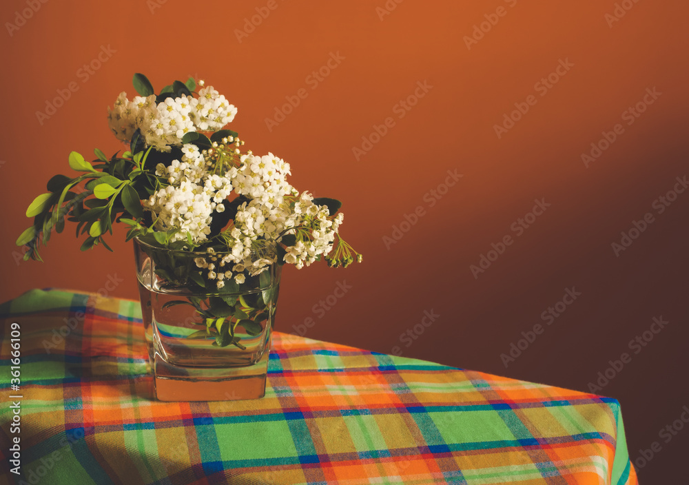 Tender white spring blossom flowers and green grass in transparent glass of water on vibrant contrast orange background. Photo with free blank copy space for text